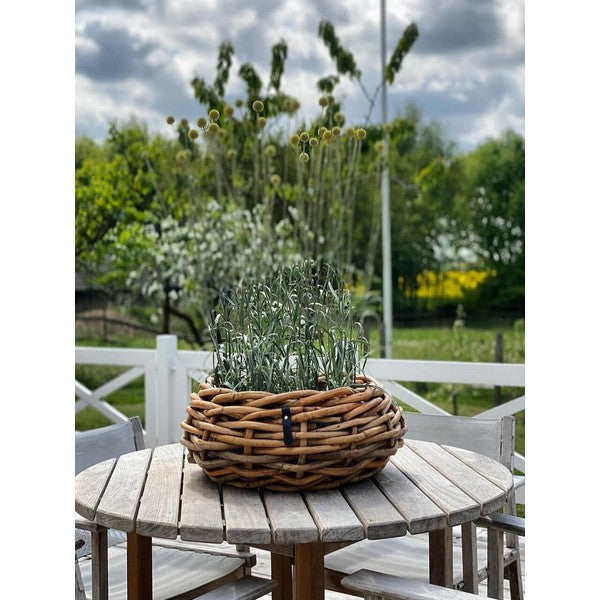 Maxi rund Rattanbowle - inkl. pose 1xØ36x17 cm