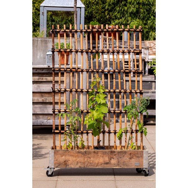 Rattan Hegn, Vertikal L98xH150xD6 cm