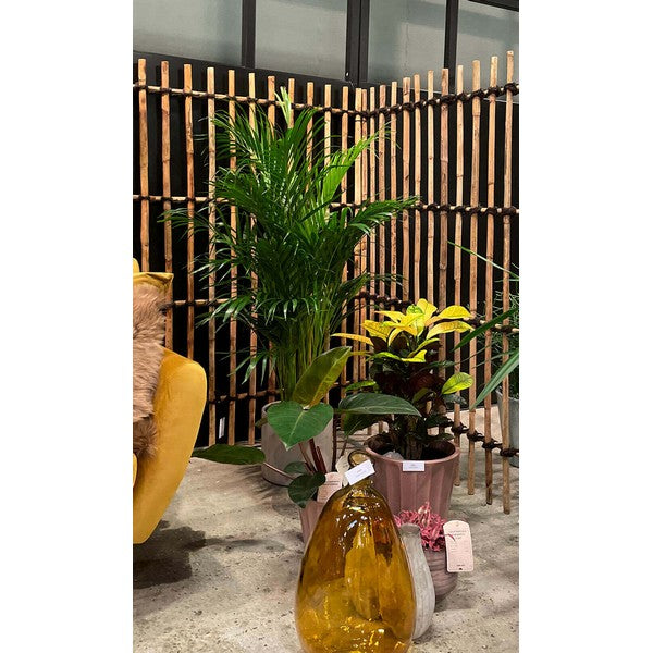 Rattan Hegn, Vertikal L98xH150xD6 cm