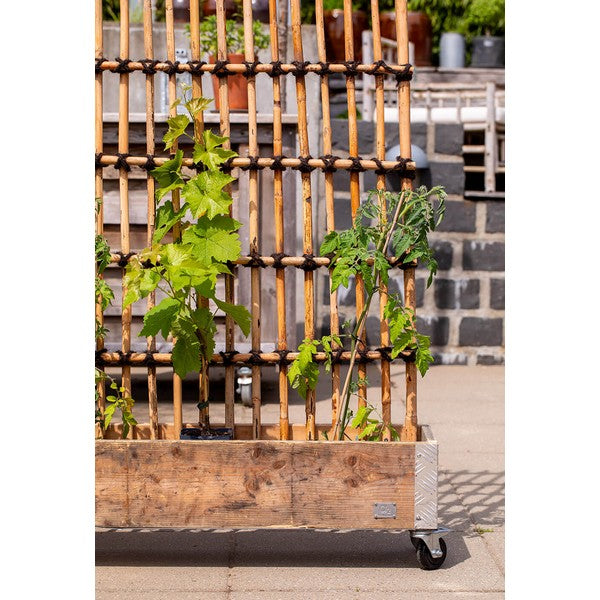 Rattan Hegn, Vertikal L98xH150xD6 cm