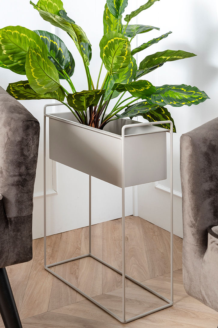 nutid Plantepottesæt Essence lige jern varm grå