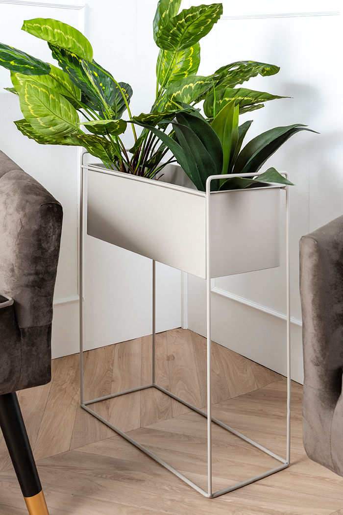 nutid Plantepottesæt Essence lige jern varm grå