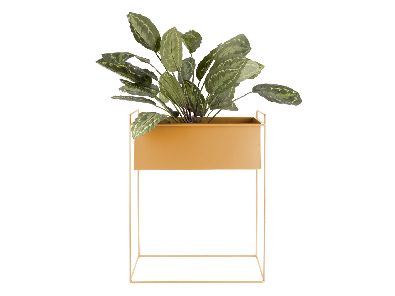 nutid Plantepottesæt Essence lige jern okkergul