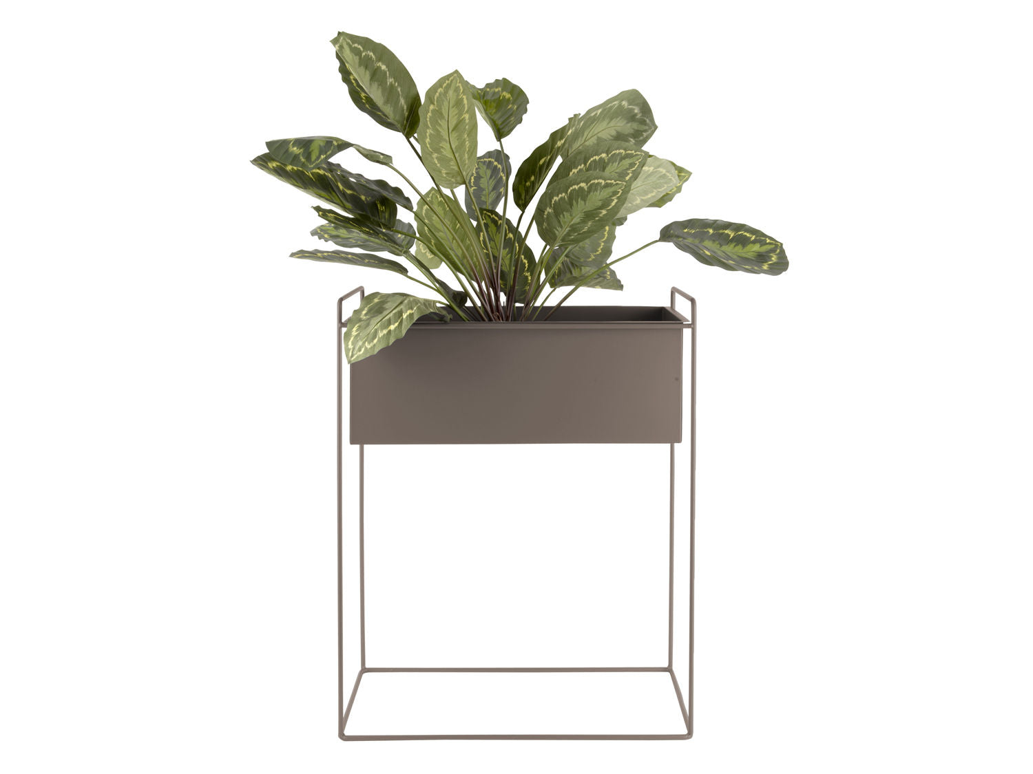 nutid Plantepottesæt Essence lige jernmosgrøn