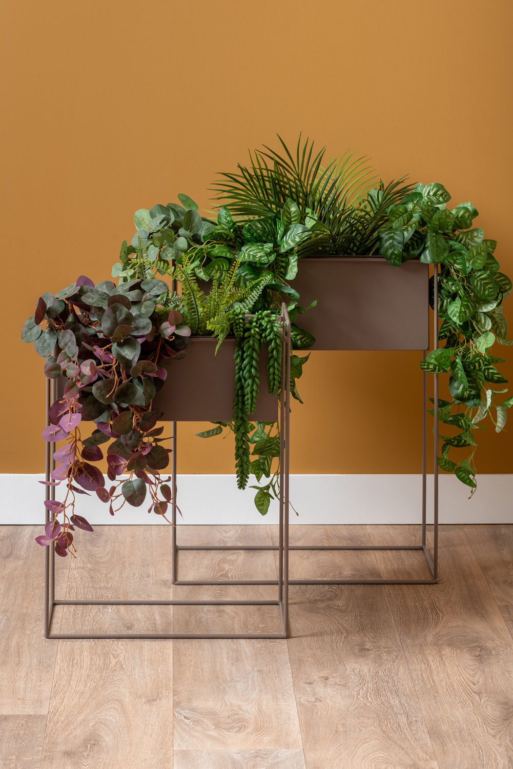 nutid Plantepottesæt Essence lige jernmosgrøn