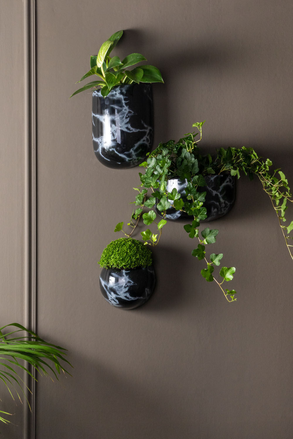 nutid Vægplantepotte Globe marmorprint sort