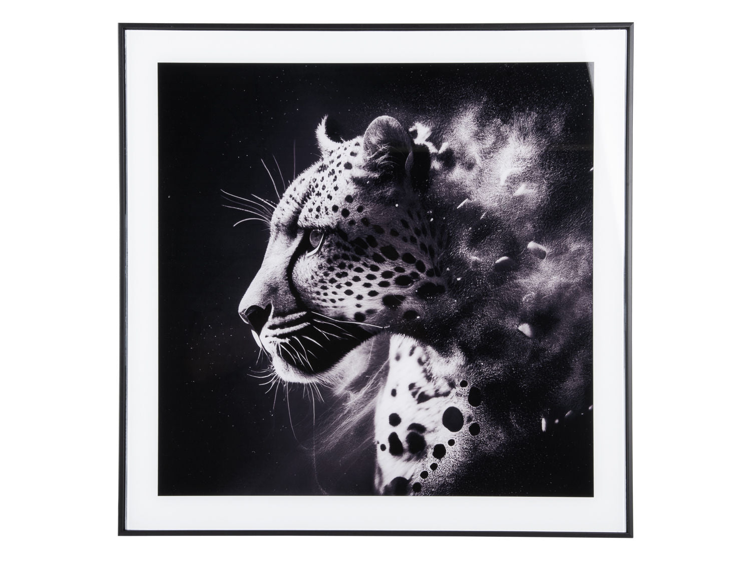 nutid Fotokunst Leopardglas sort/hvid