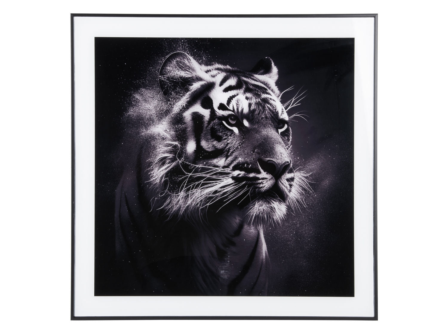nutid Fotokunst Tigerglas sort/hvid