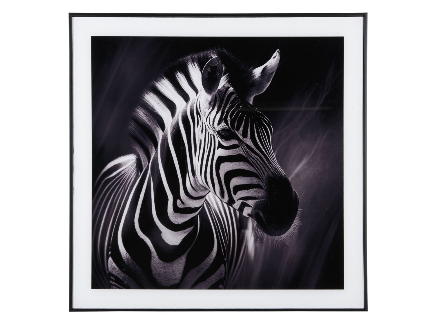 nutid Fotokunst Zebra glas sort/hvid
