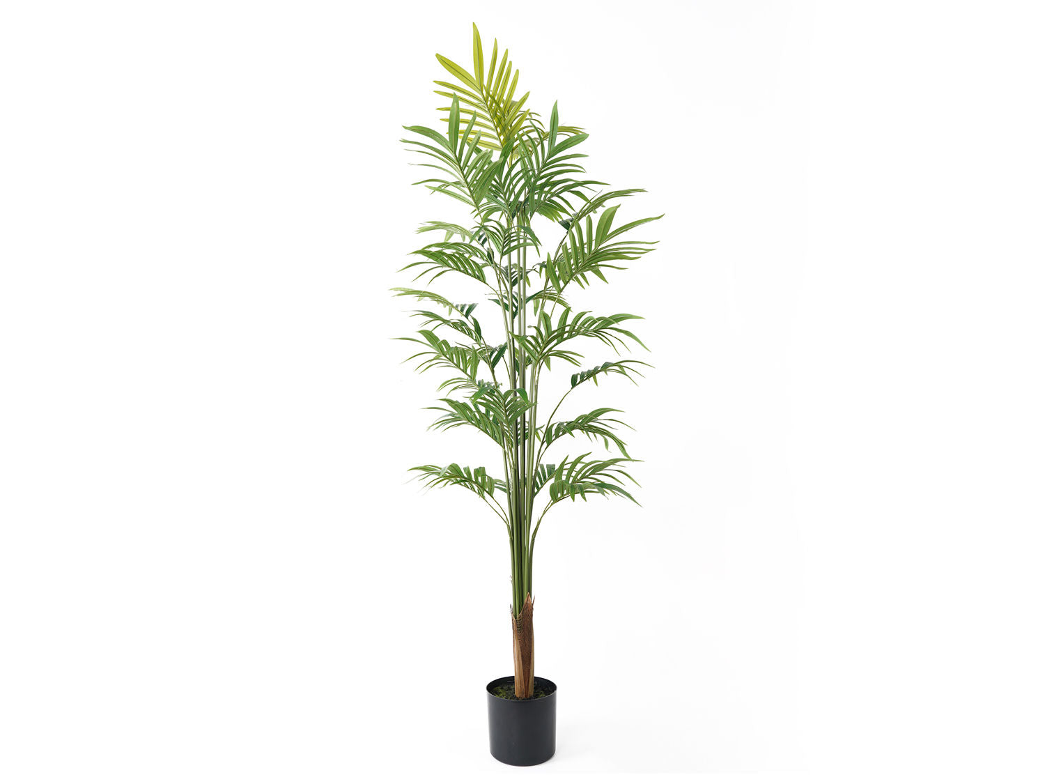 nutiden Kunstig plante Guld Palme stor