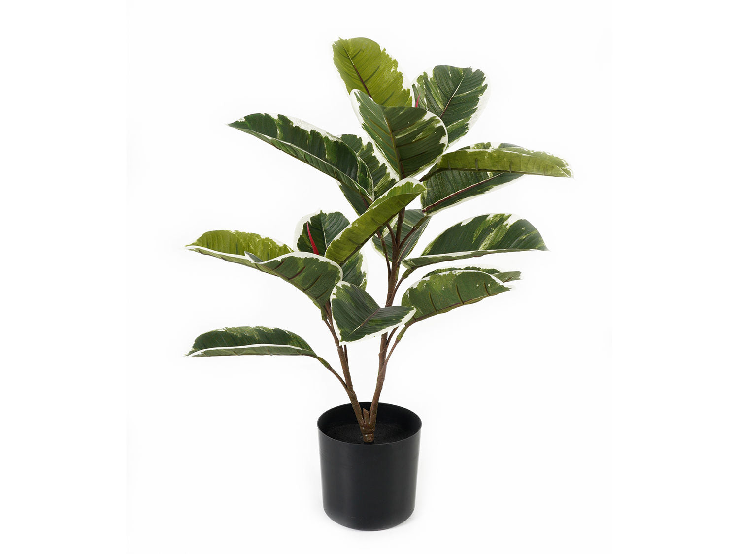 nutiden Kunstig plante Eg Blad
