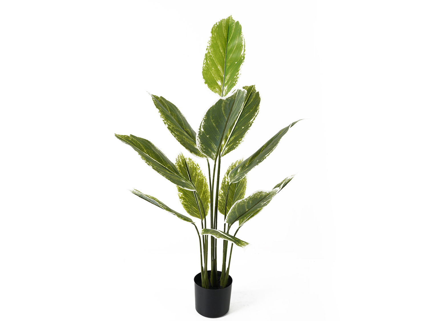 nutiden Kunstig plante Calathea stor