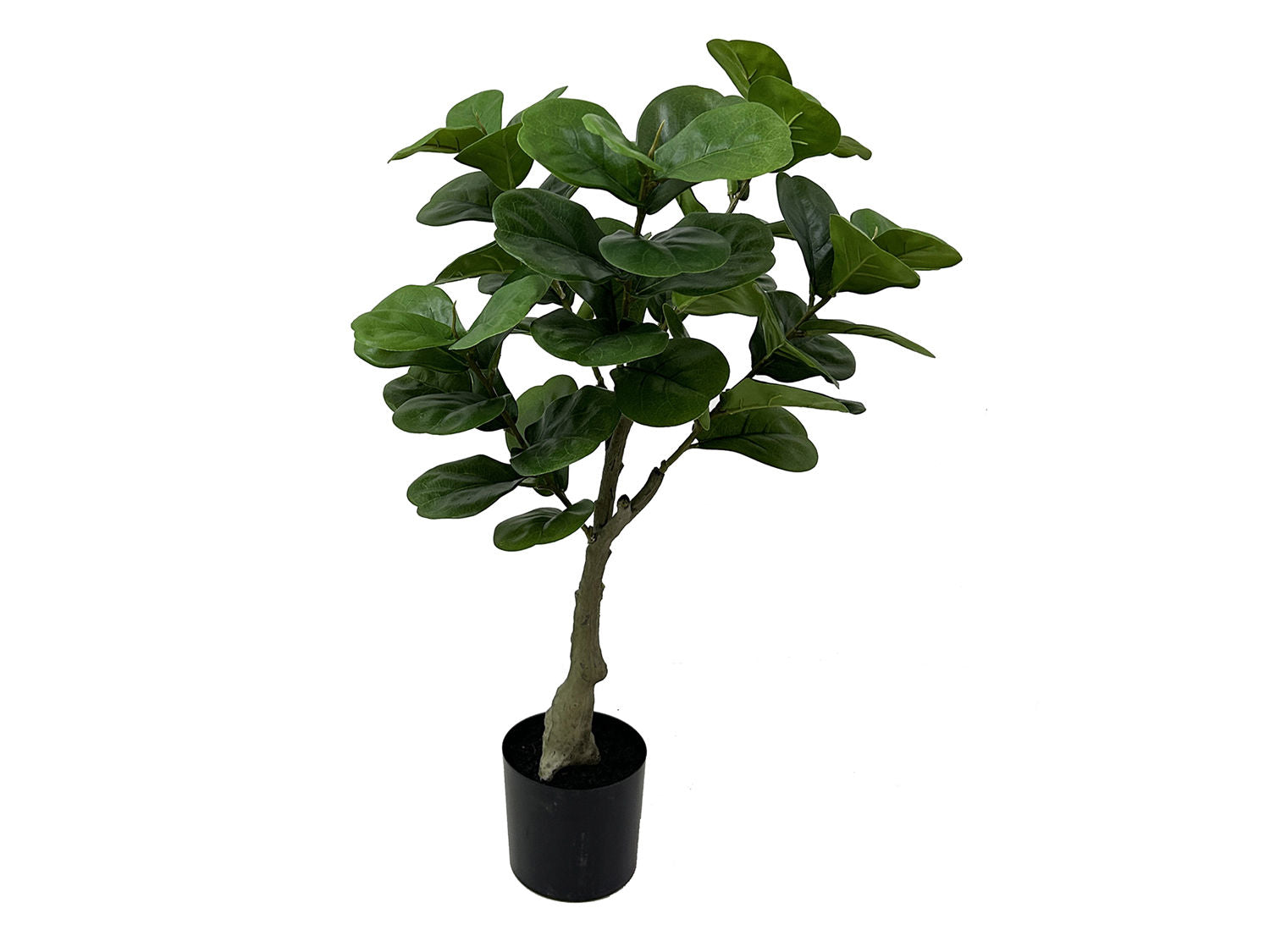 nutiden Kunstig plante Ficus