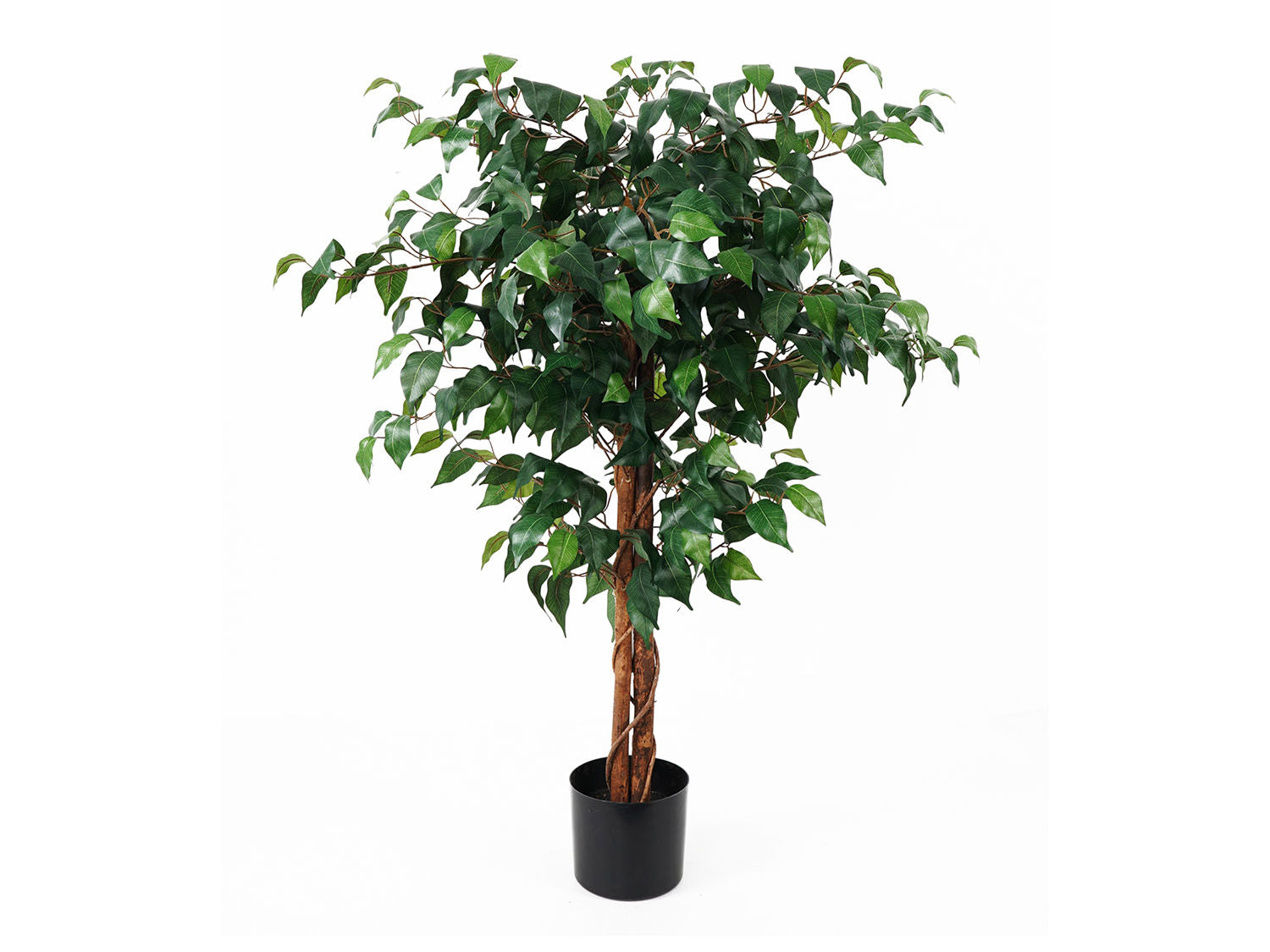 nutiden Kunstig plante Fig Ficus