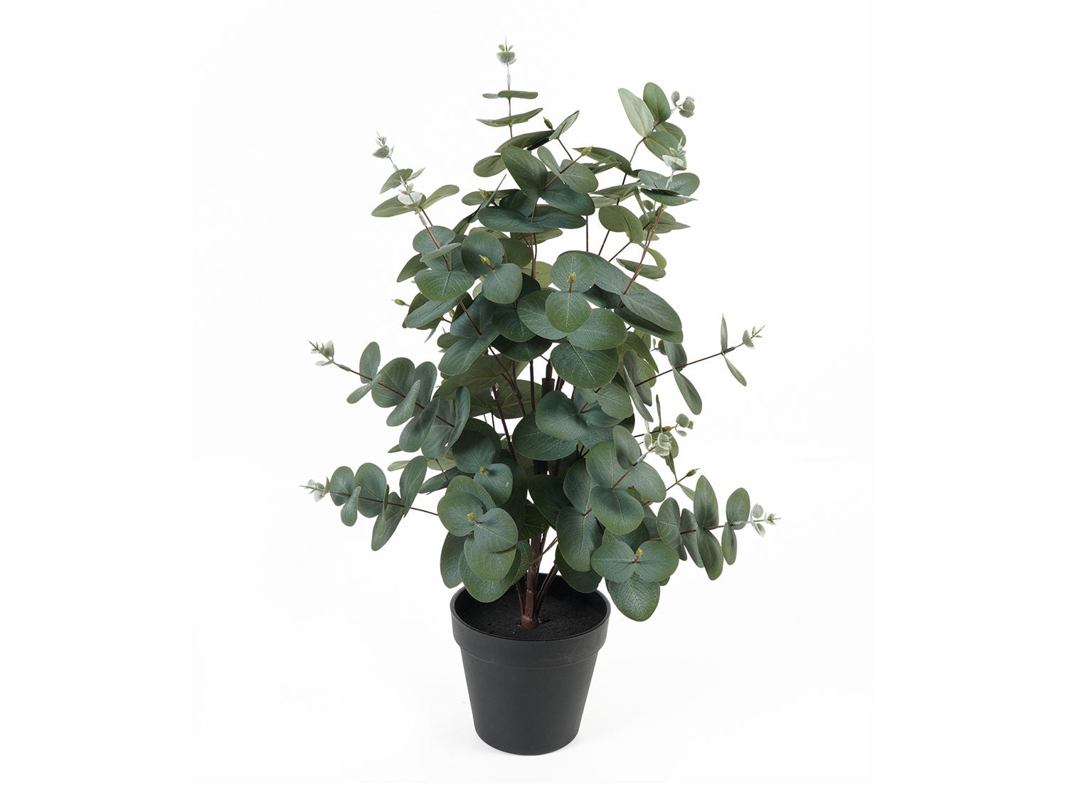 nutiden Kunstig plante Eucalyptus Blad