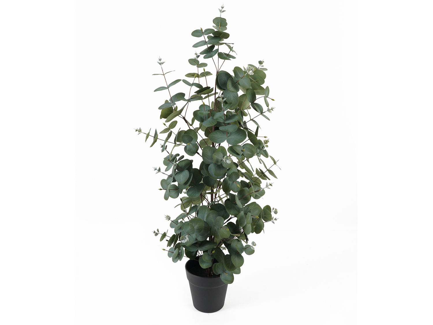 nuværende tid Kunstig plante Eucalyptus Blad stort