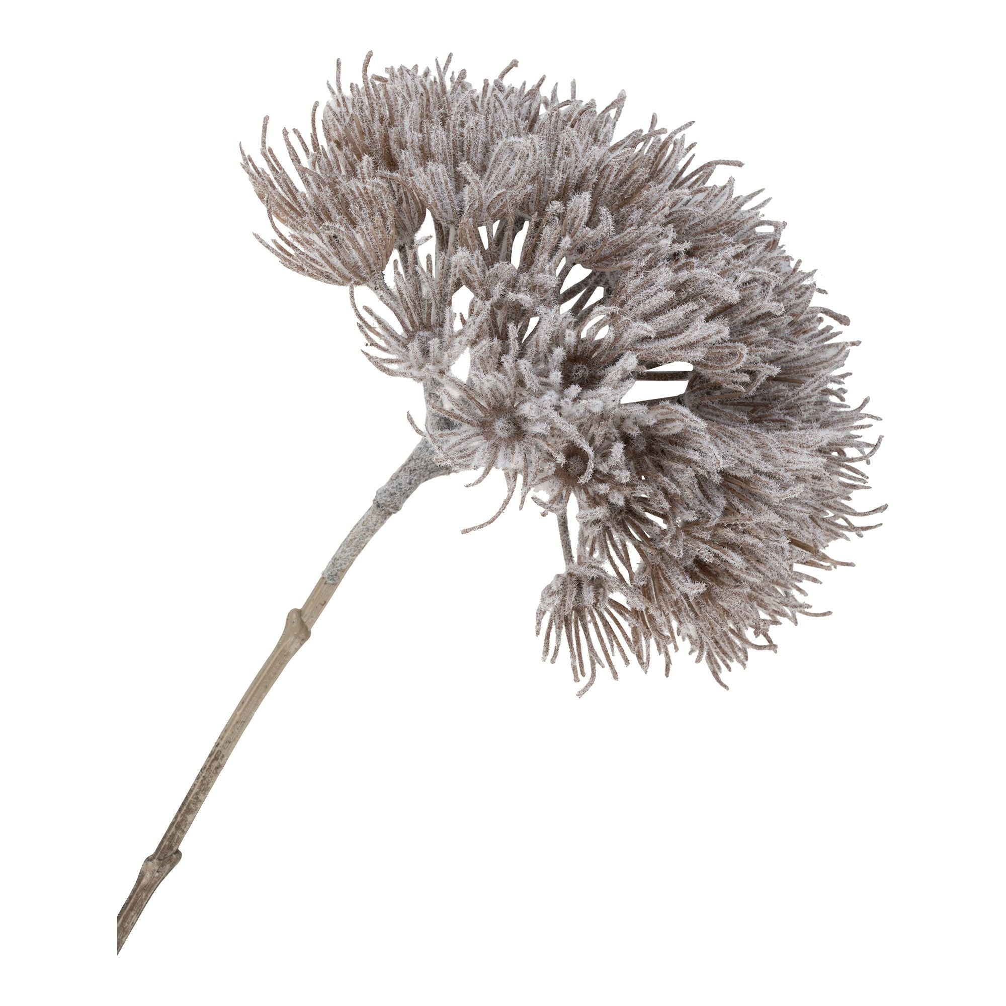 House Nordic Natur buket