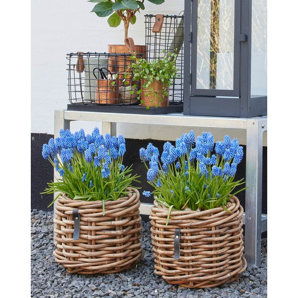 Mini Low Rund Rattankurv Ø32xH24 cm