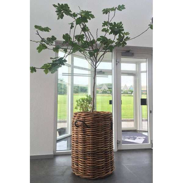Mega Rund Rattankurv Ø62xH84 cm