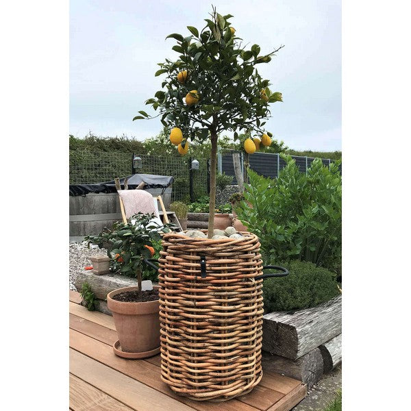 Mega Rund Rattankurv Ø62xH84 cm