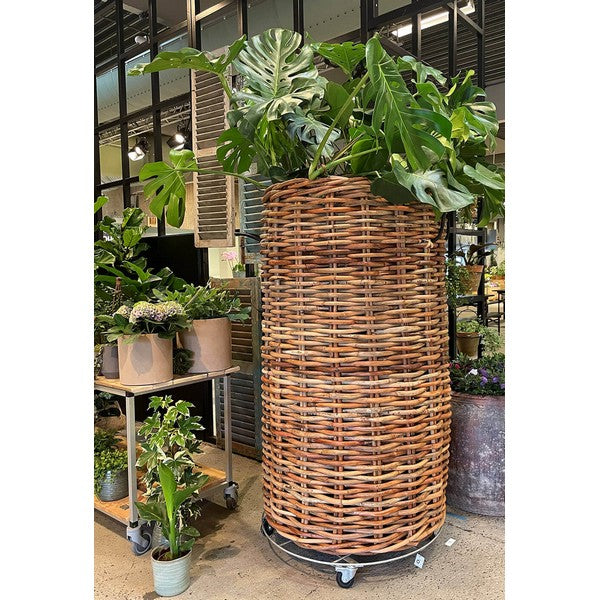 Mammut Rund Rattankurv Ø85xH150 cm