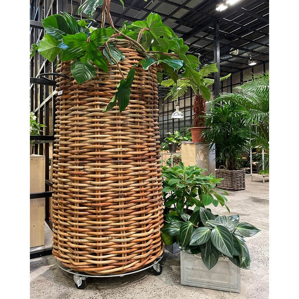 Mammut Rund Rattankurv Ø85xH150 cm