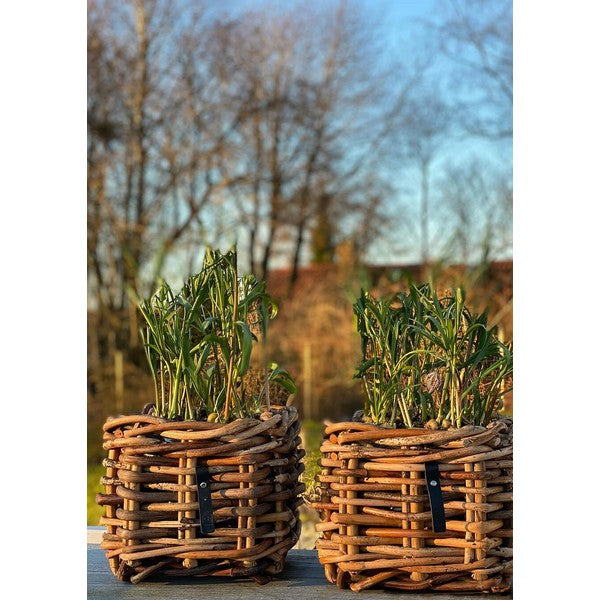 Mini Low Firkantet Rattankurv L27xB27xH24 cm