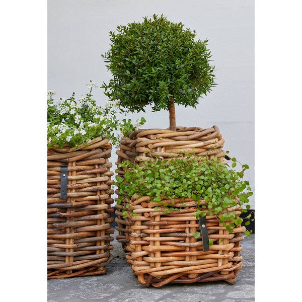 Mini Low Firkantet Rattankurv L27xB27xH24 cm