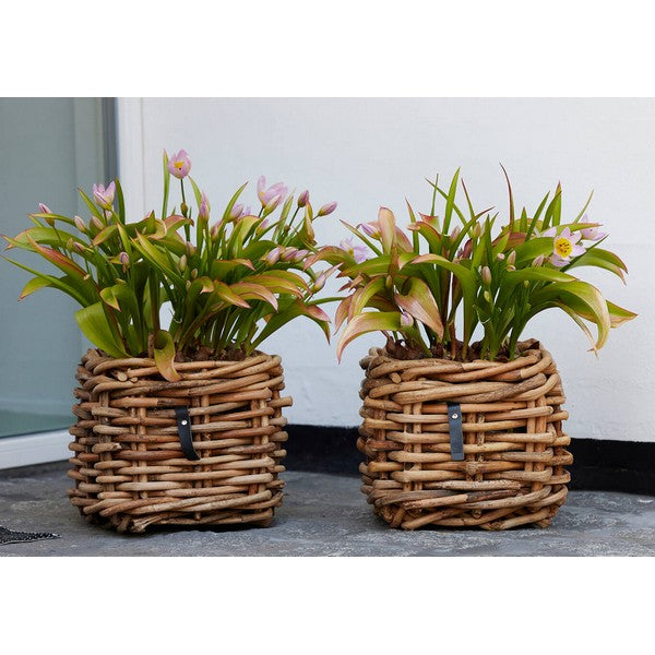 Mini Low Firkantet Rattankurv L27xB27xH24 cm