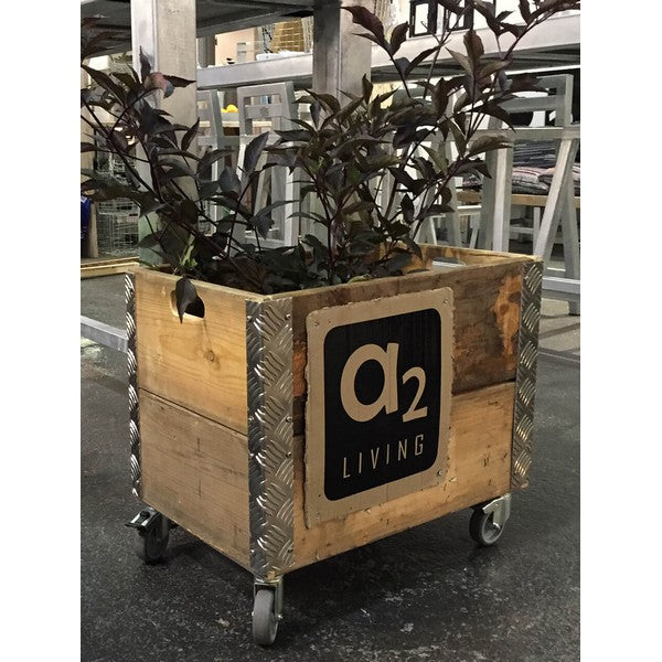 Ølkasse 2 Lag m Hjul L55xB36xH48,5 cm