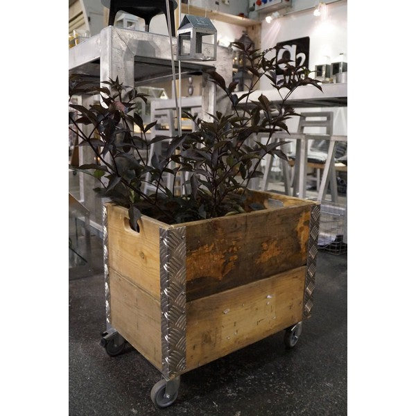 Ølkasse 2 Lag m Hjul L55xB36xH48,5 cm