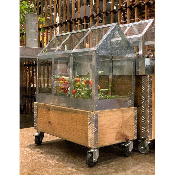 Kasse t/Væksthus 1 Lag L62,5xB32,5xH29,5 cm