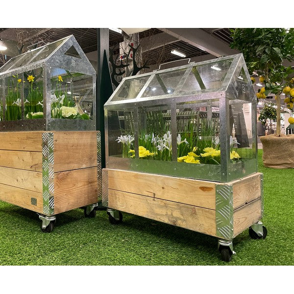 Kasse t/Væksthus 1 Lag L62,5xB32,5xH29,5 cm