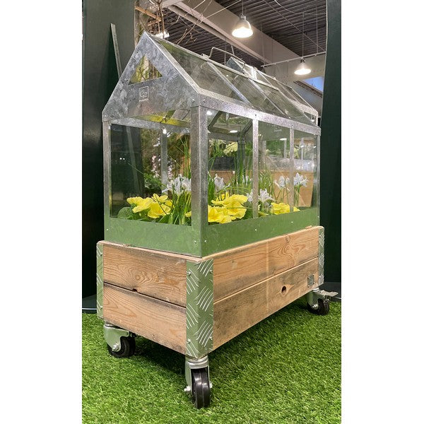 Kasse t/Væksthus 1 Lag L62,5xB32,5xH29,5 cm