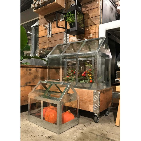 Kasse t/Væksthus 1 Lag L62,5xB32,5xH29,5 cm