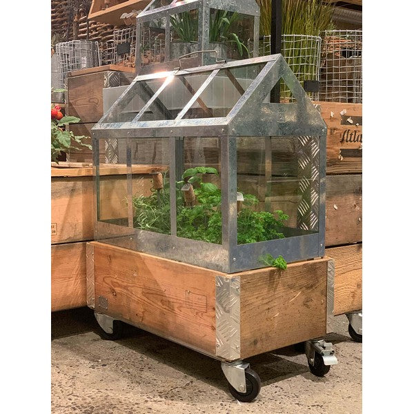 Kasse t/Væksthus 1 Lag L62,5xB32,5xH29,5 cm