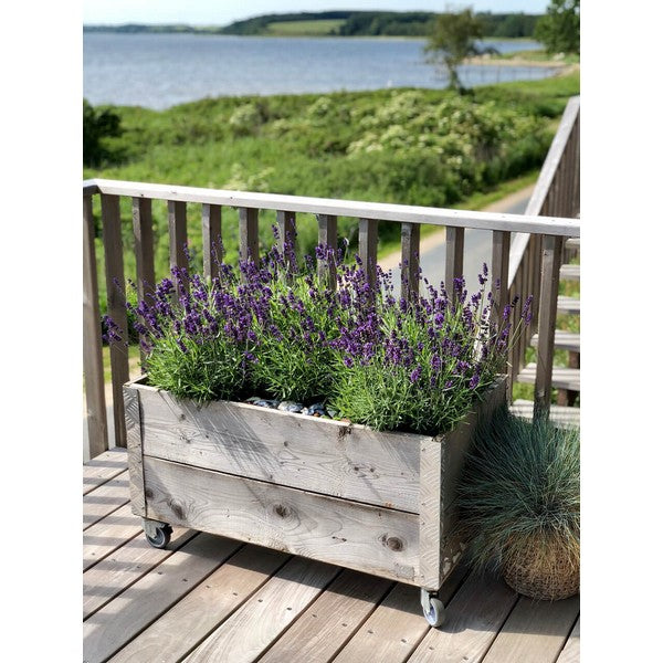 Kapilærkasse m Hjul (smal topramme) L91xB51,5xH48,5 cm