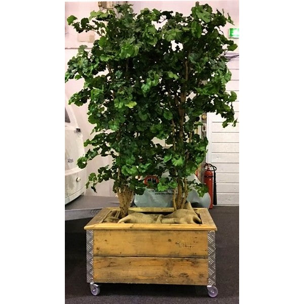 Kapilærkasse m Hjul (smal topramme) L91xB51,5xH48,5 cm