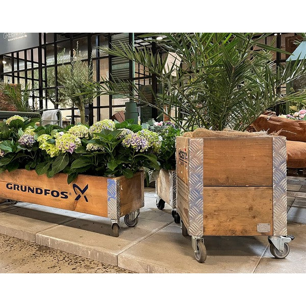 Quadro Kasse 2 Lag m Hjul L36xB36xH48,5 cm