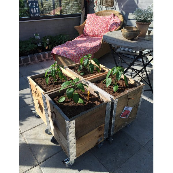 Quadro Kasse 2 Lag m Hjul L36xB36xH48,5 cm