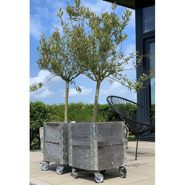 Quadro Kasse 2 Lag m Hjul L36xB36xH48,5 cm