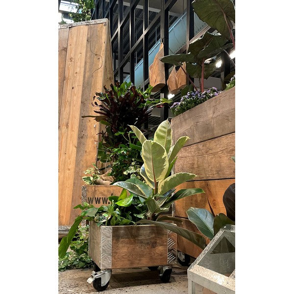 Quadro Kasse 1 Lag m Hjul L36xB36xH29,5 cm