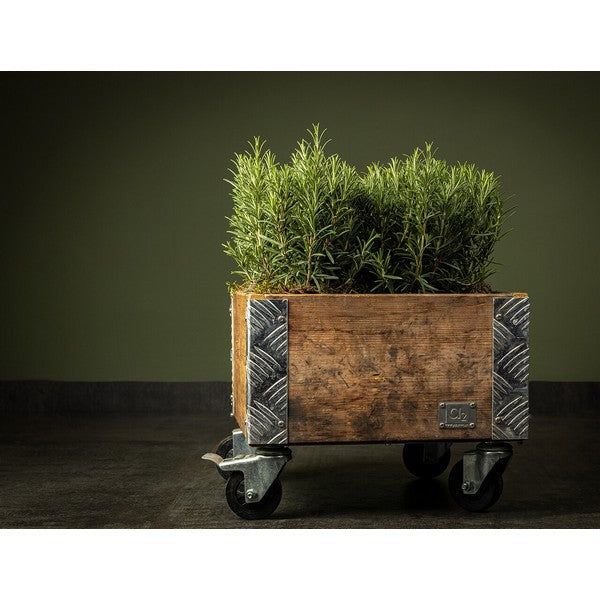 Quadro Kasse 1 Lag m Hjul L36xB36xH29,5 cm