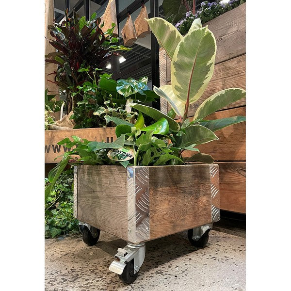 Quadro Kasse 1 Lag m Hjul L36xB36xH29,5 cm