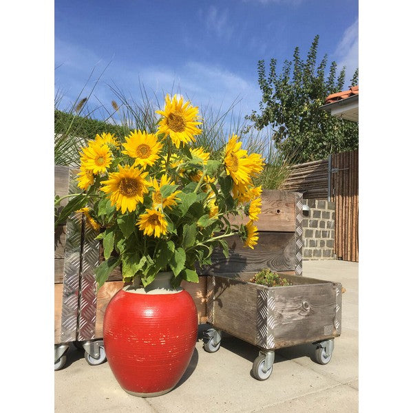 Quadro Kasse 1 Lag m Hjul L36xB36xH29,5 cm