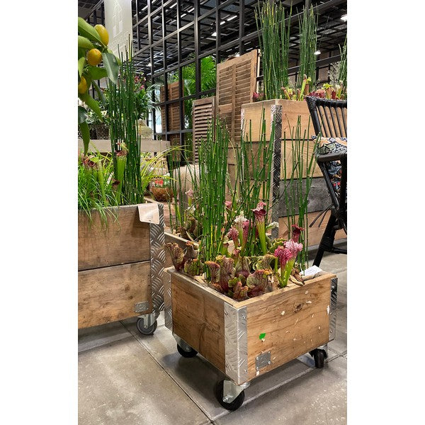 Quadro Kasse 1 Lag m Hjul L36xB36xH29,5 cm