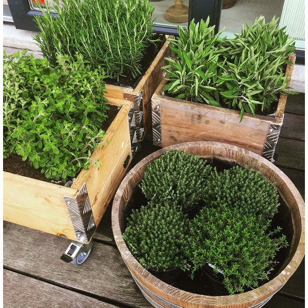 Quadro Kasse 1 Lag m Hjul L36xB36xH29,5 cm