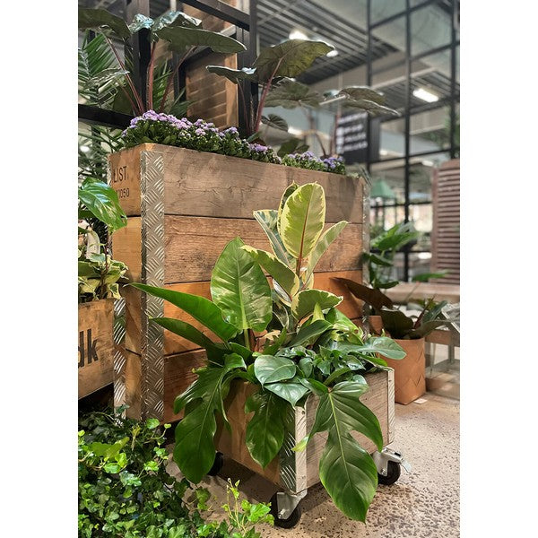 Quadro Kasse 1 Lag m Hjul L36xB36xH29,5 cm