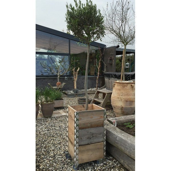 Quadro Kasse 3 Lag m Hjul L36xB36xH67,5 cm