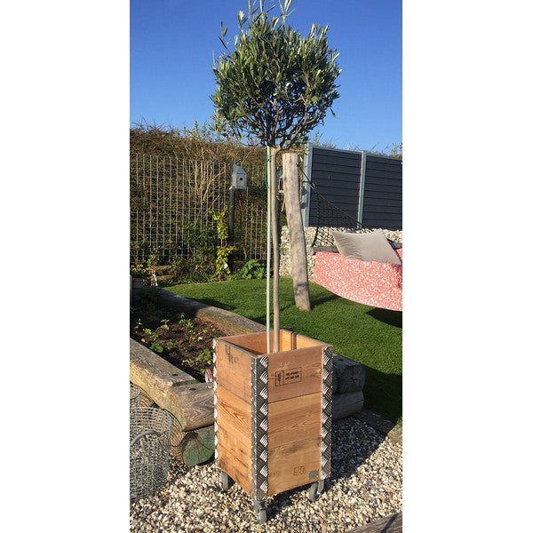 Quadro Kasse 3 Lag m Hjul L36xB36xH67,5 cm